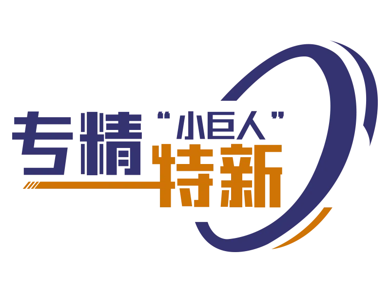 專精特新小巨人企業(yè)認(rèn)定標(biāo)準(zhǔn)